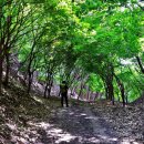 유왕골약수 이미지