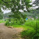 만세동농장 이미지