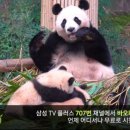 삼성플러스
