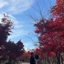 한밭축산 이미지