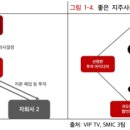 브아이피 이미지