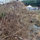 춘원농장 이미지