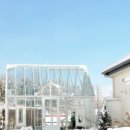 스테이 모든날 이미지