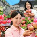 문경농협하나로마트 이미지