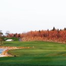 엘리시안CC 이미지