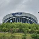 왕표상회 이미지