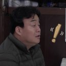 31횟집 Daum카페