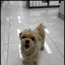 논산동물병원 이미지