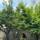 영동세무서 | [충북/영동 여행] 영동 1박 2일 여행-1 (브런치 카페 마이폴 후기)