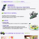 형제푸드 이미지