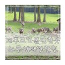 노루공원화장실 | 제주도 아이와 가볼만한곳 추천 제주 노루생태관찰원 후기