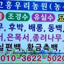 칠전농장 이미지