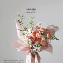 그레이스졸리