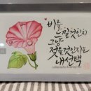 쓰는 기쁨 캘리그라피 이미지