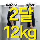 바디플래너 이미지