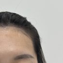프리모르 이미지