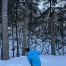 유명산캠핑장 이미지