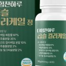 더힘찬