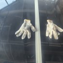 구례스팀세차장