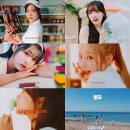 시그니처 티브이데일리
