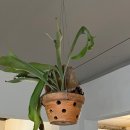 플라워밀다이닝(Flour Mill Dining) 이미지