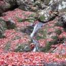 추월산이보이는집 이미지