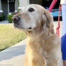 (주)골든필드 이미지