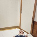 지당졸음쉼터 화장실 | 김포 아기랑 갈만한 카페 추천 한옥카페 다인