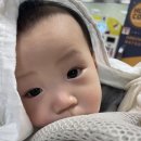 덕수콜택시 | 매일보는사건(1월)