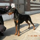 아폴로 스테이 이미지