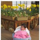 기훈농장 이미지