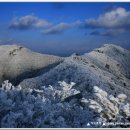 2015년 2월14일(토요일) 정기산행 안내 전북 진안군 운장산 1126m 이미지