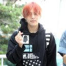 노아 이미지