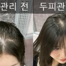 웰킨(안양점) 네이버블로그
