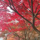 신라불교초전지 이미지