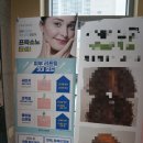 바디톡에스테틱