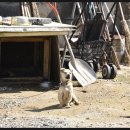 양촌리경로당 이미지