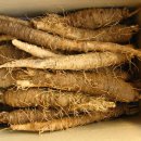 평창백덕산더덕 이미지