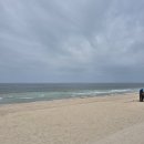 나무펜션 | 보령신흑동해수욕장펜션 보령 대천해수욕장에서 가까운 사과나무펜션 후기