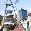 성분도치과병원 | 부산 금련산 &amp; 황령산 - 수영구, 남구, 연제구, 부산진구에 속한 광안리 오션뷰 명산