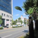 상대동-5 이미지