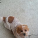 이리농장 이미지