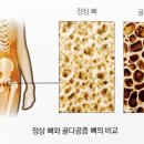 씨에스나무병원 이미지