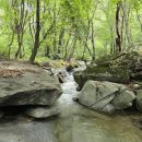 새소리펜션 이미지