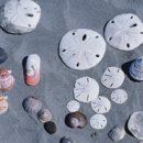 바다 속 이야기 이미지