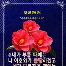샬롬 Daum카페