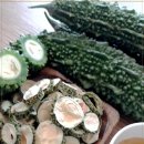 여주-0745 이미지