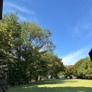 스테이무릉도원 이미지