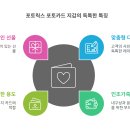 포토릭스