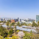 이안세무법인 뉴시스